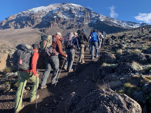 Auresta Travel Kilimanjaro Climbing