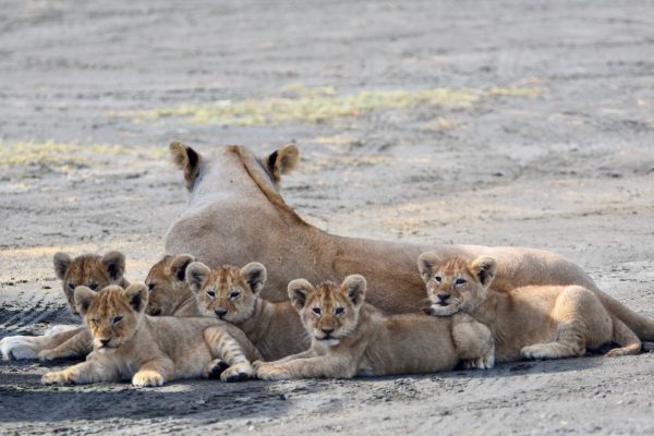 df41a8b419dfa2fc3e7469c04ec82e8a298c2711